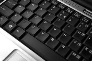 指尖上的互联时代 键盘与笔记本电脑的线上购物新篇章